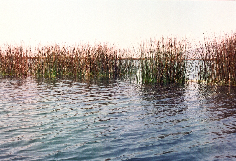 20110212_041.jpg