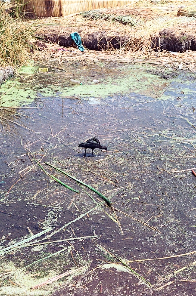 20110213_032.jpg
