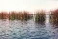 20110212_041