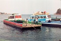 20110212_048