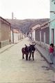 20110213_006