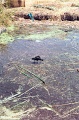 20110213_032