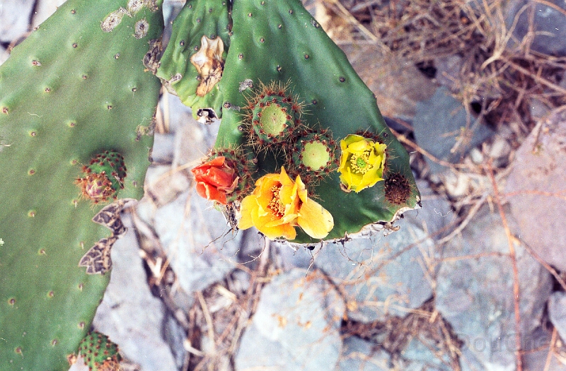 20110213_040.jpg