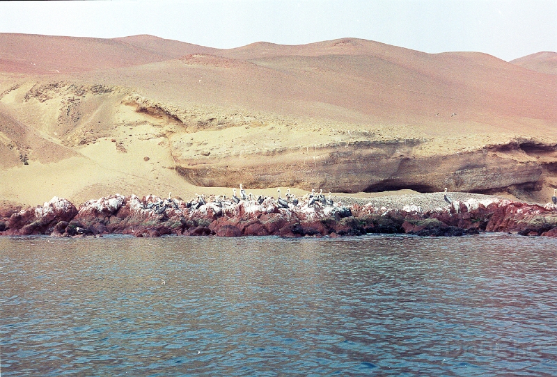 20110213_075.jpg