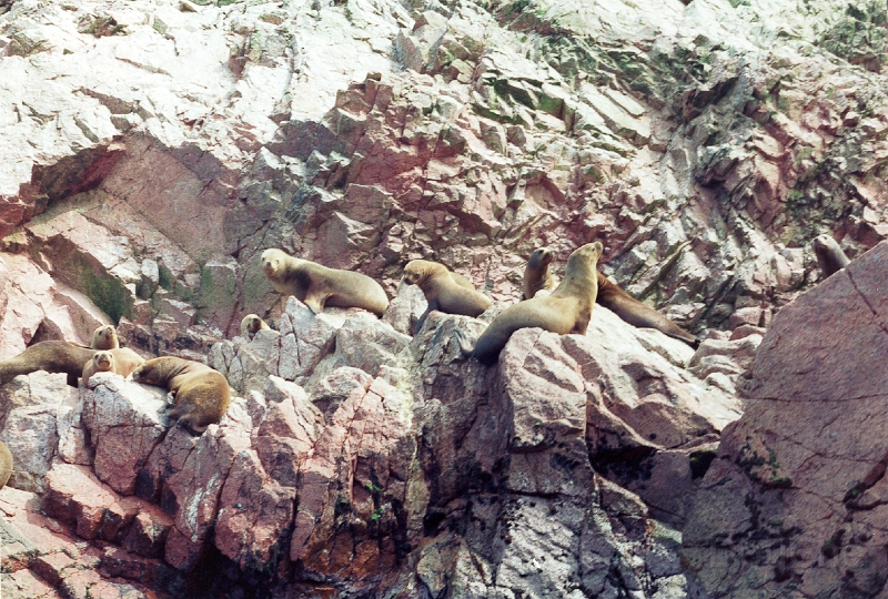 20110213_093.jpg
