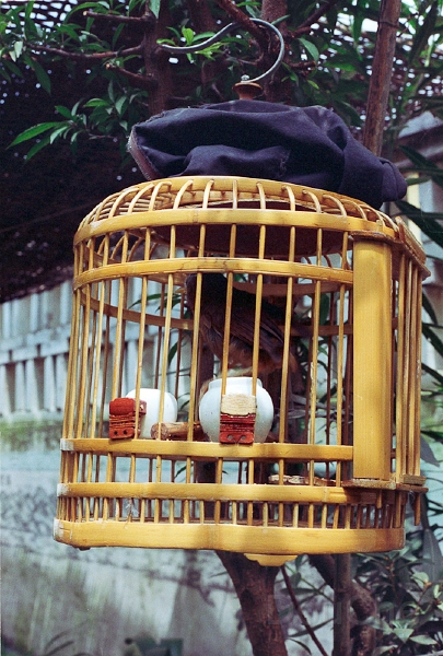 20110224_020.jpg
