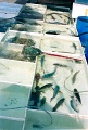 20110225_044