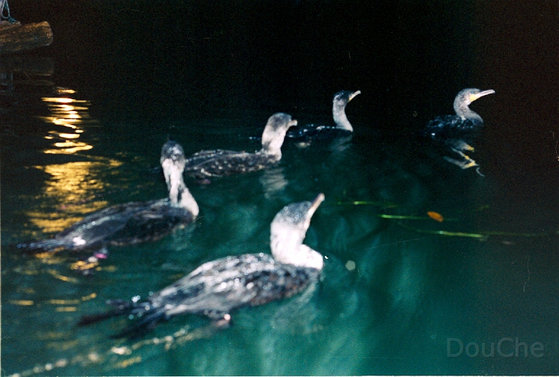 20110225_064.jpg