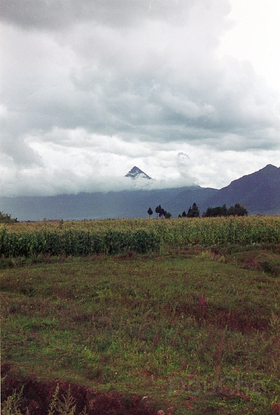 20110224_040.jpg