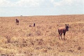 20120526_030