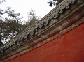 DSC09611