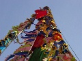 DSC09889