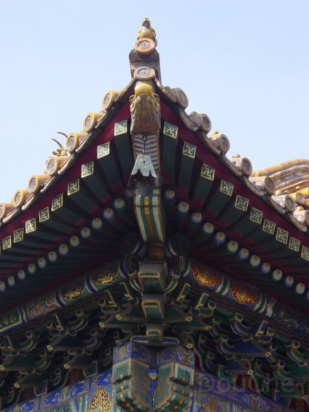 JP_DSC05190.jpg