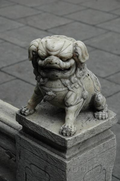JP_DSC_0496.jpg