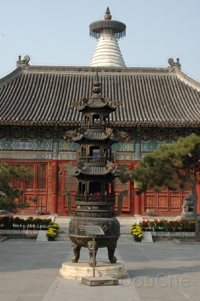 MP_DSC_0411.jpg