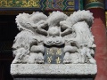 JP_DSC05200