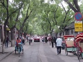JP_DSC05214