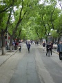 JP_DSC05215