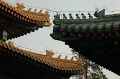 JP_DSC_1874