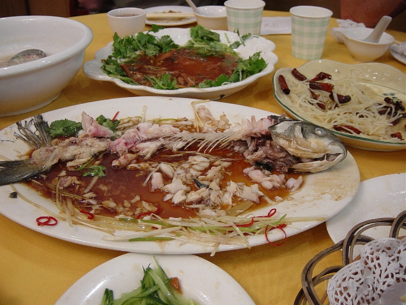 JP_DSC05146.jpg
