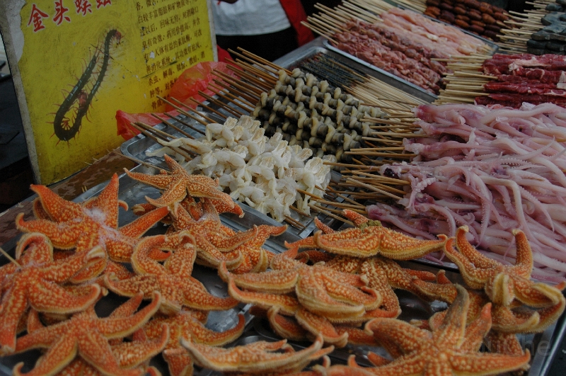 MP_DSC_0717.jpg