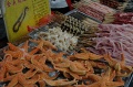MP_DSC_0717