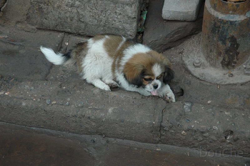 JP_DSC_0207.jpg