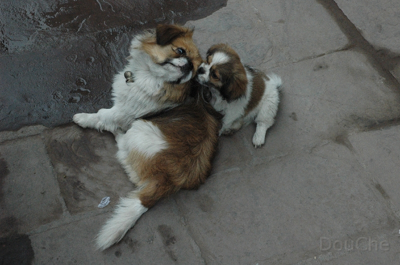 JP_DSC_0447.jpg