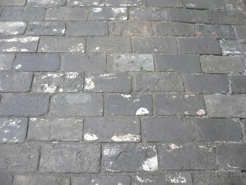 QT_P1110571.jpg