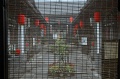 JP_DSC_0163