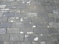 QT_P1110571