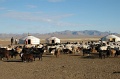 MP_DSC_0185