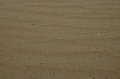 JP_DSC_1340