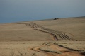 MP_DSC_0178