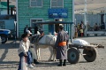 MP_DSC_0258