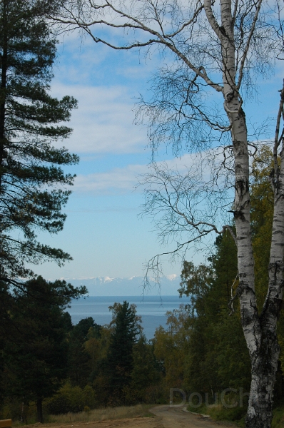 MP_DSC_0064.jpg