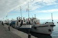 JP_DSC_1182