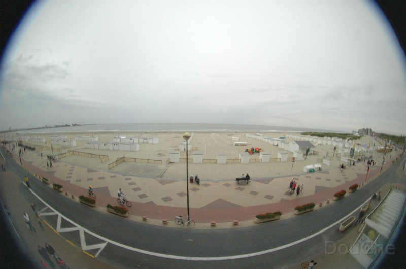 DSC_0724.jpg