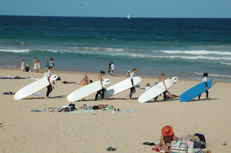DSC_0811.jpg