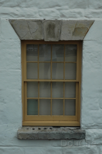 DSC_0390.jpg