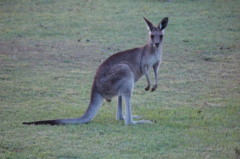 DSC_0120.jpg
