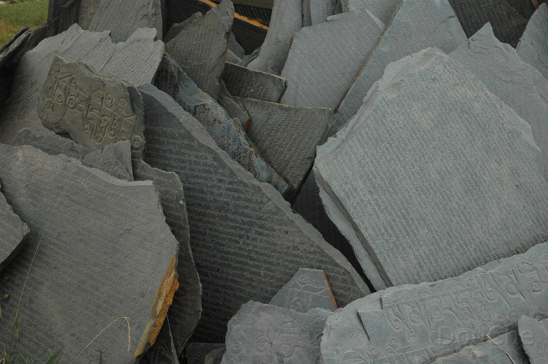 DSC_0472.jpg