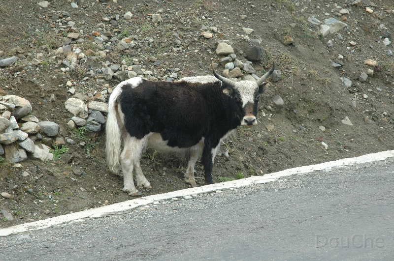 DSC_0395.jpg