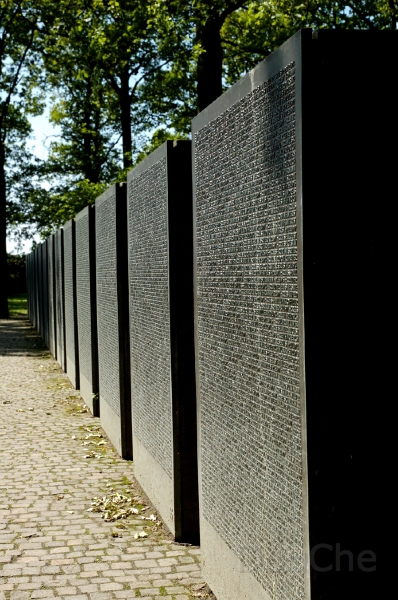 DSC_0046_dxo.jpg