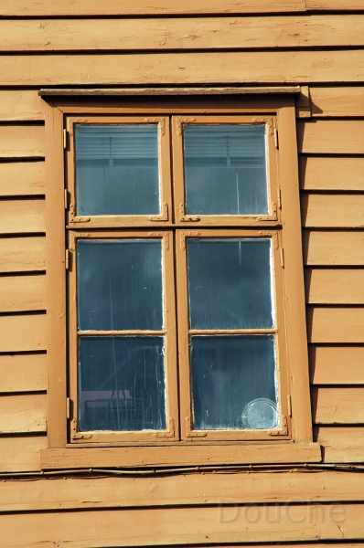 DSC_0354_out.jpg