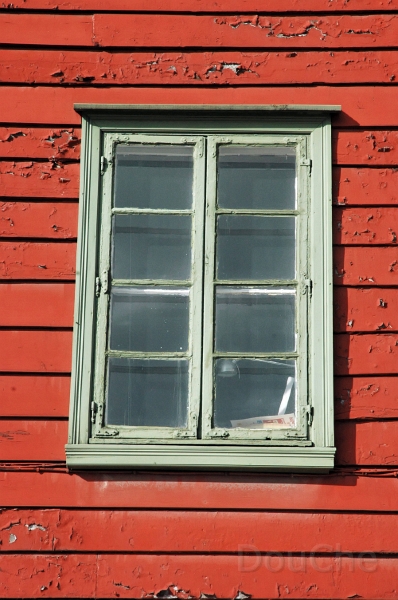 DSC_0355_out.jpg