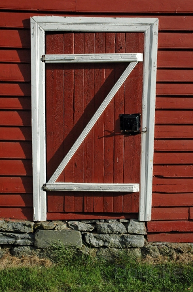 DSC_0426_out.jpg