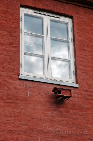 DSC_0653_out.jpg