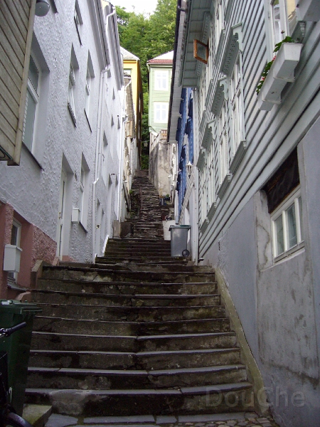 P1050473.JPG