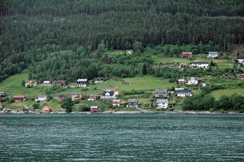 DSC_0250_out.jpg